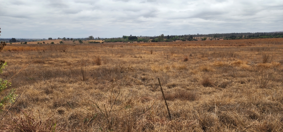 0 Bedroom Property for Sale in Mooiplaats Gauteng