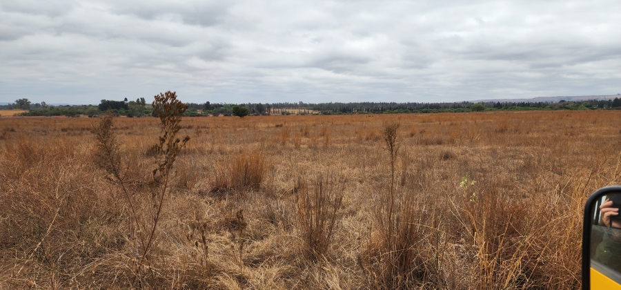 0 Bedroom Property for Sale in Mooiplaats Gauteng