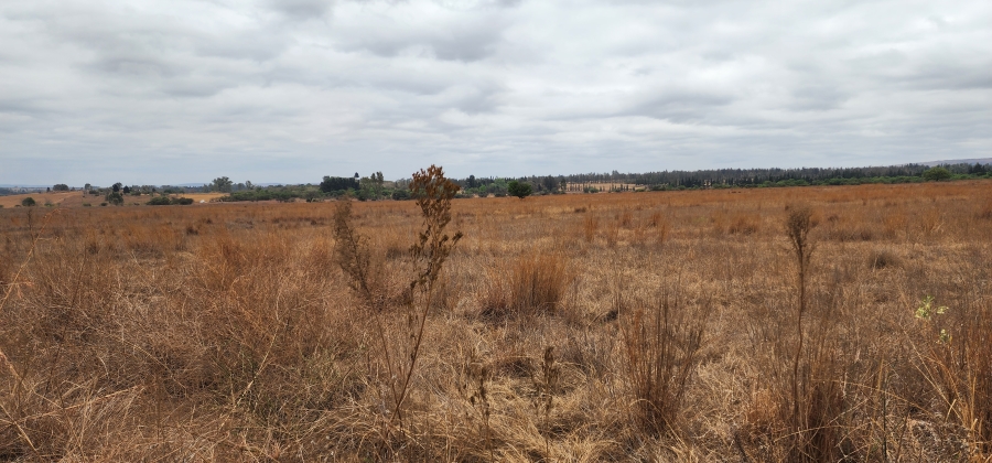 0 Bedroom Property for Sale in Mooiplaats Gauteng