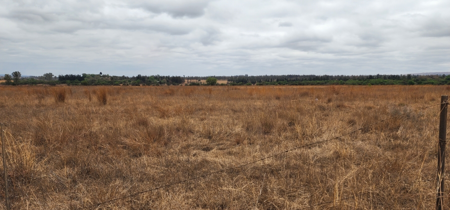 0 Bedroom Property for Sale in Mooiplaats Gauteng