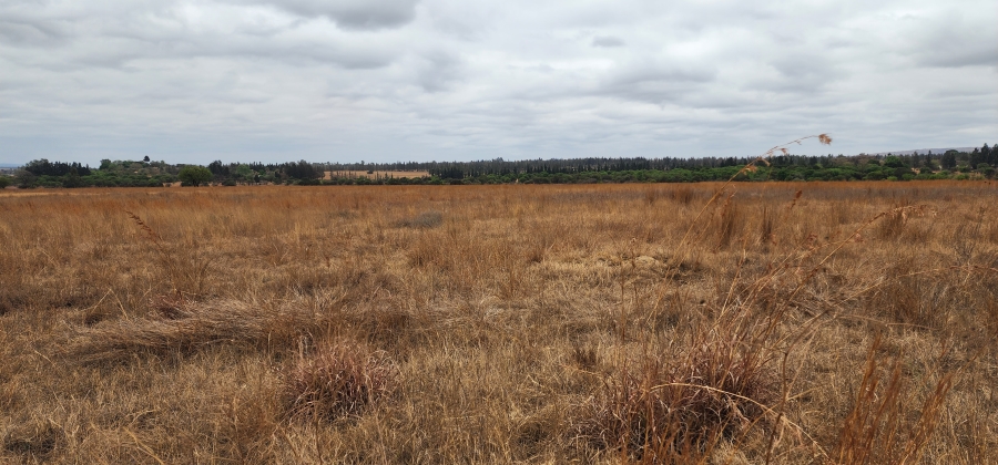 0 Bedroom Property for Sale in Mooiplaats Gauteng