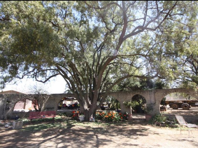 4 Bedroom Property for Sale in Miravaal Gauteng