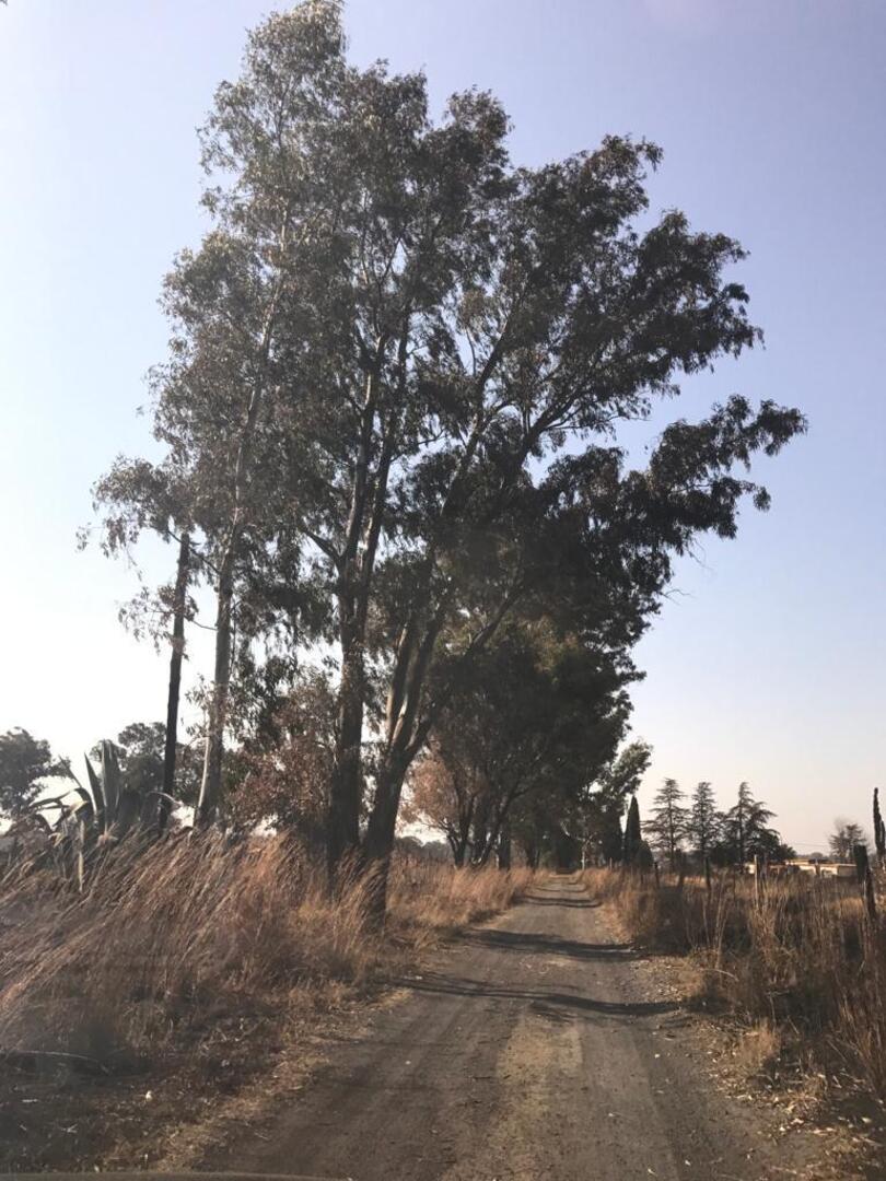 4 Bedroom Property for Sale in De Deur Gauteng