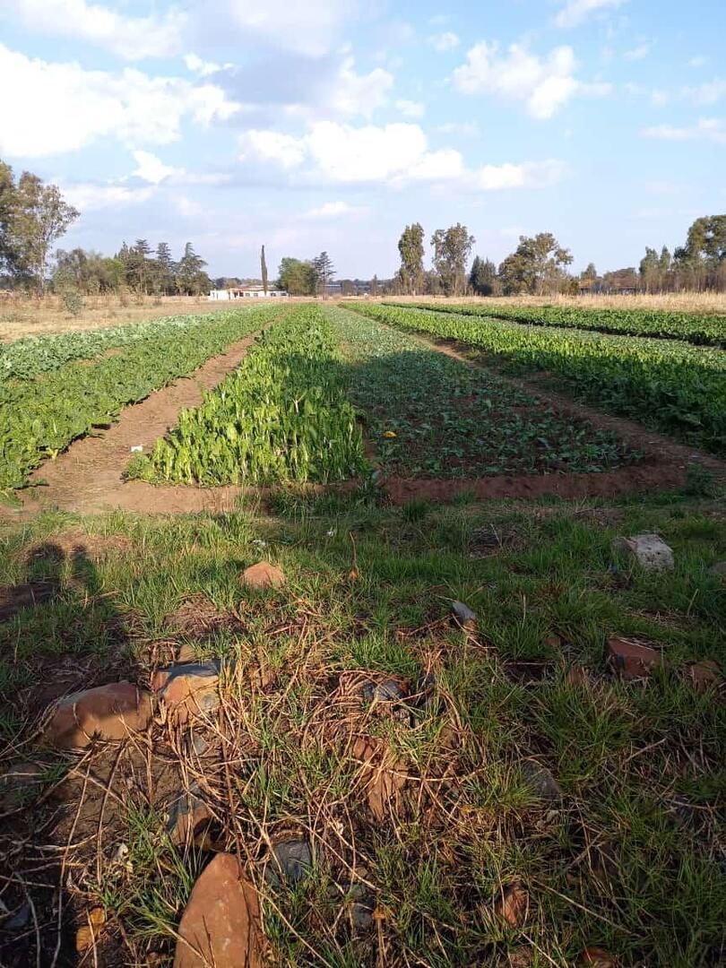 4 Bedroom Property for Sale in De Deur Gauteng