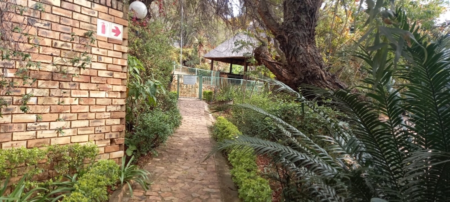 To Let 3 Bedroom Property for Rent in Rietondale Gauteng