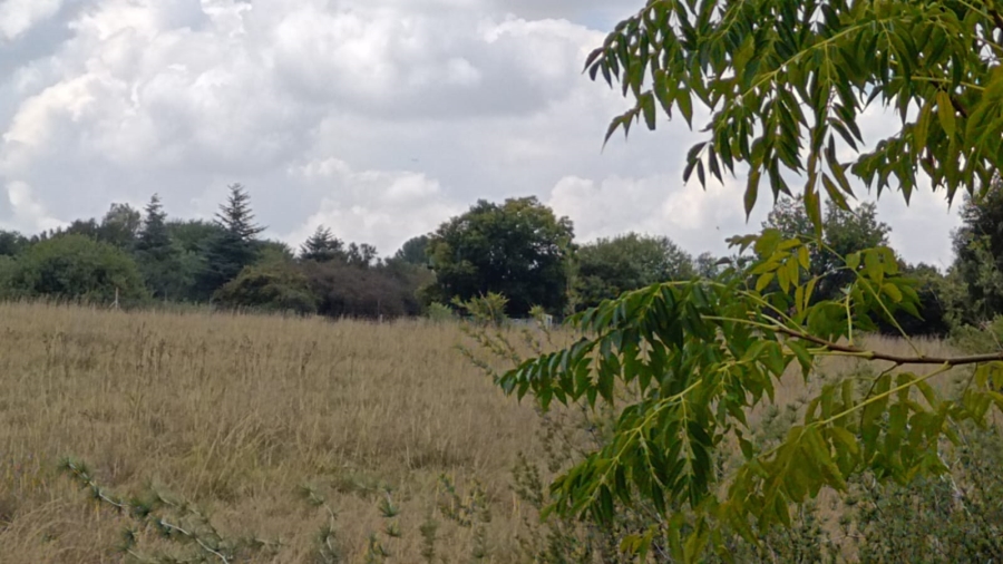 0 Bedroom Property for Sale in Vanwaartshof Gauteng