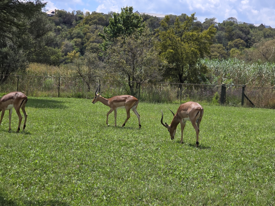 0 Bedroom Property for Sale in Waterlake Farm Lifestyle Estate Gauteng