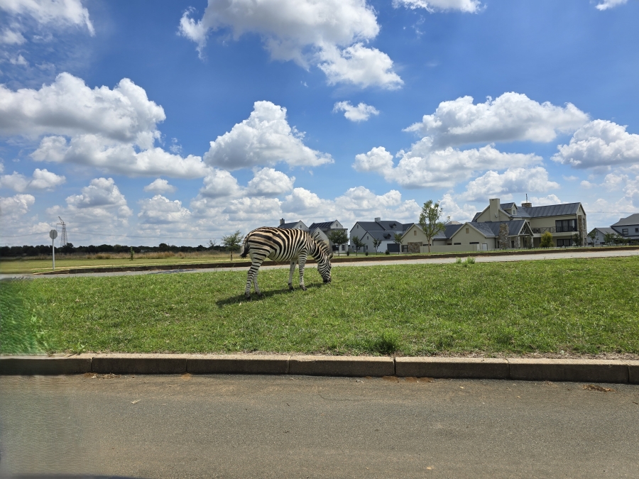 0 Bedroom Property for Sale in Waterlake Farm Lifestyle Estate Gauteng