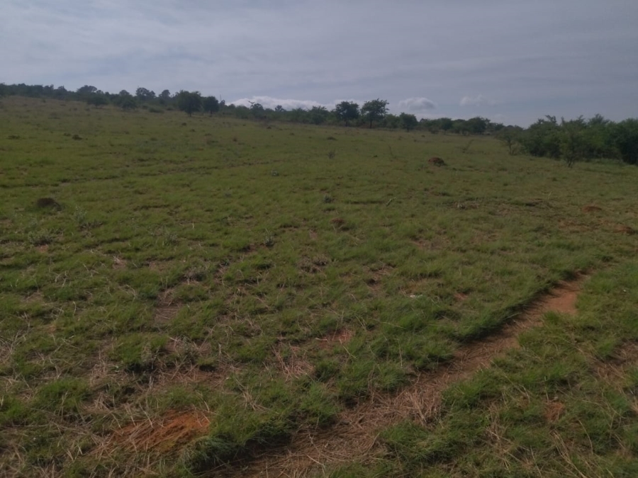 0 Bedroom Property for Sale in Althea Gauteng