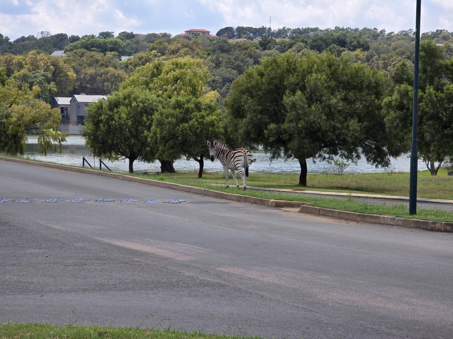 0 Bedroom Property for Sale in Waterlake Farm Lifestyle Estate Gauteng