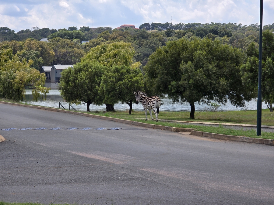 0 Bedroom Property for Sale in Waterlake Farm Lifestyle Estate Gauteng