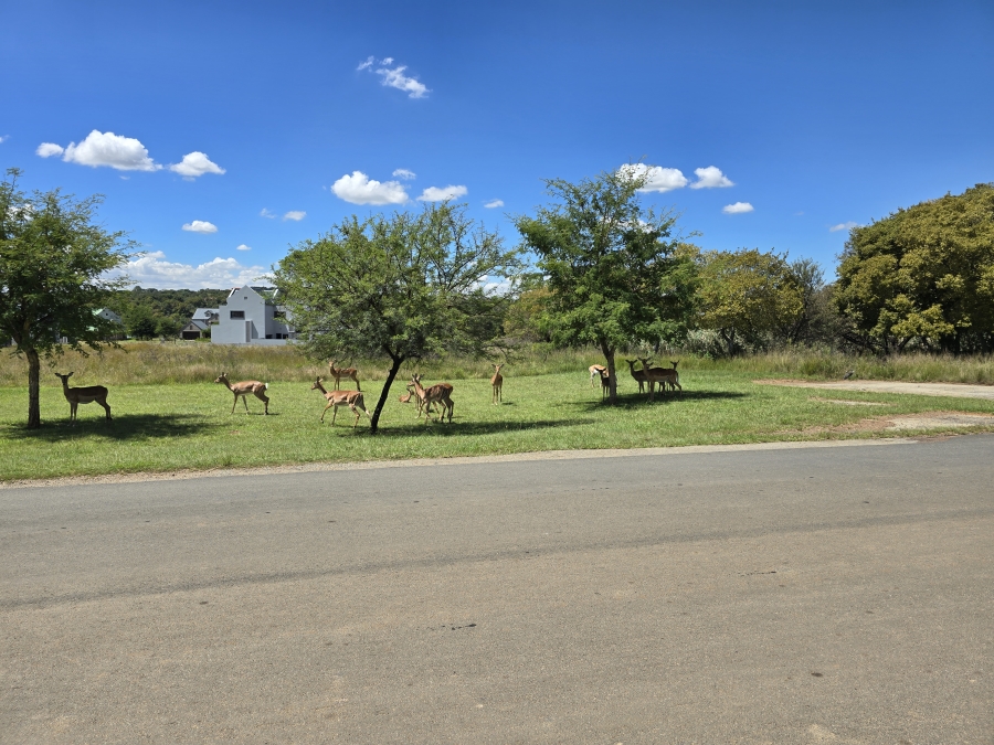 0 Bedroom Property for Sale in Waterlake Farm Lifestyle Estate Gauteng