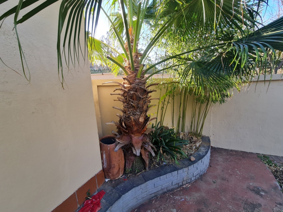 To Let 1 Bedroom Property for Rent in Olivedale Gauteng