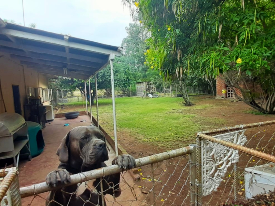 6 Bedroom Property for Sale in Bultfontein A H Gauteng