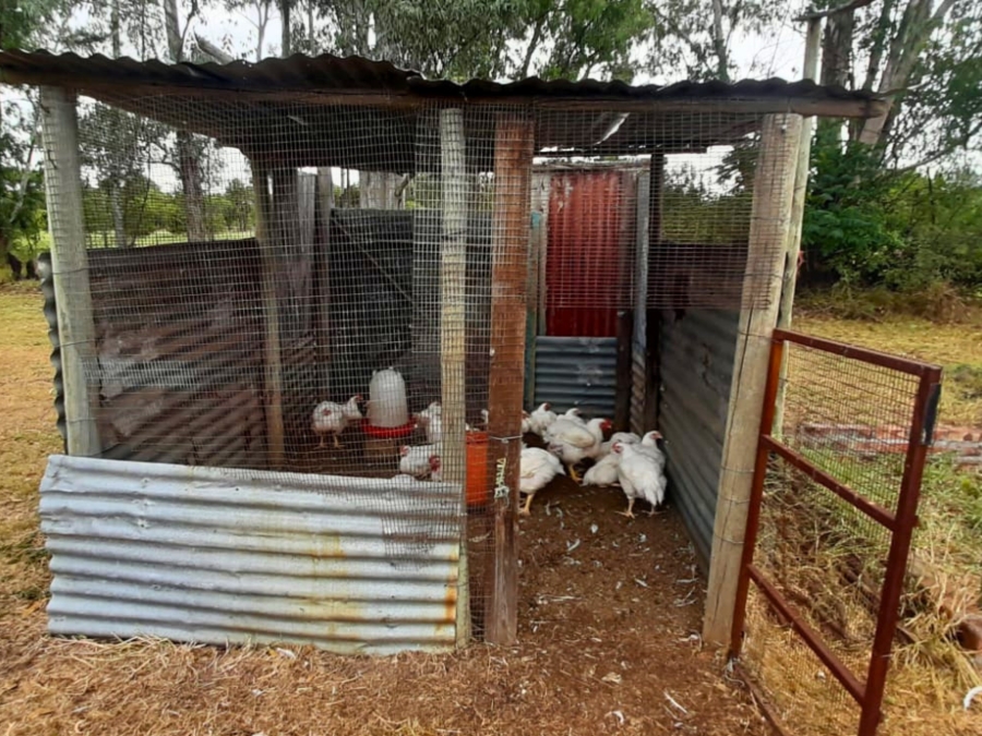 6 Bedroom Property for Sale in Bultfontein A H Gauteng