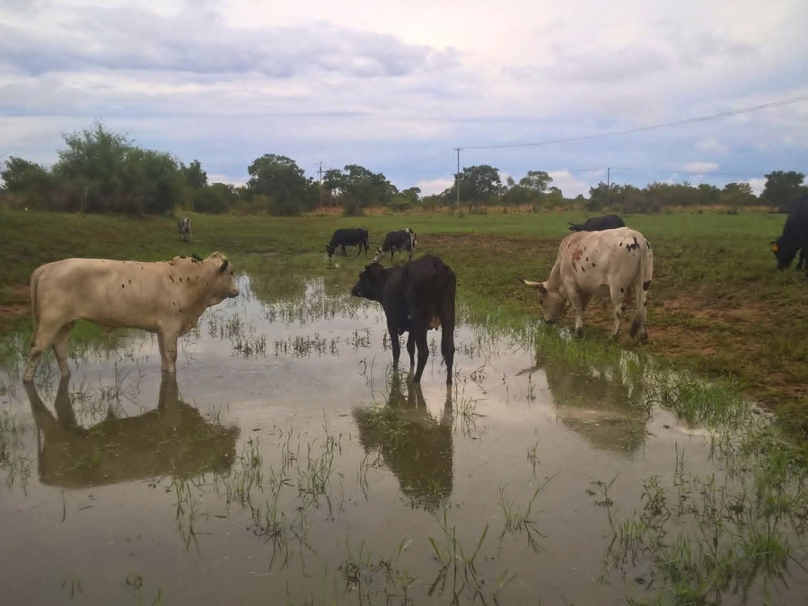 6 Bedroom Property for Sale in Bultfontein A H Gauteng