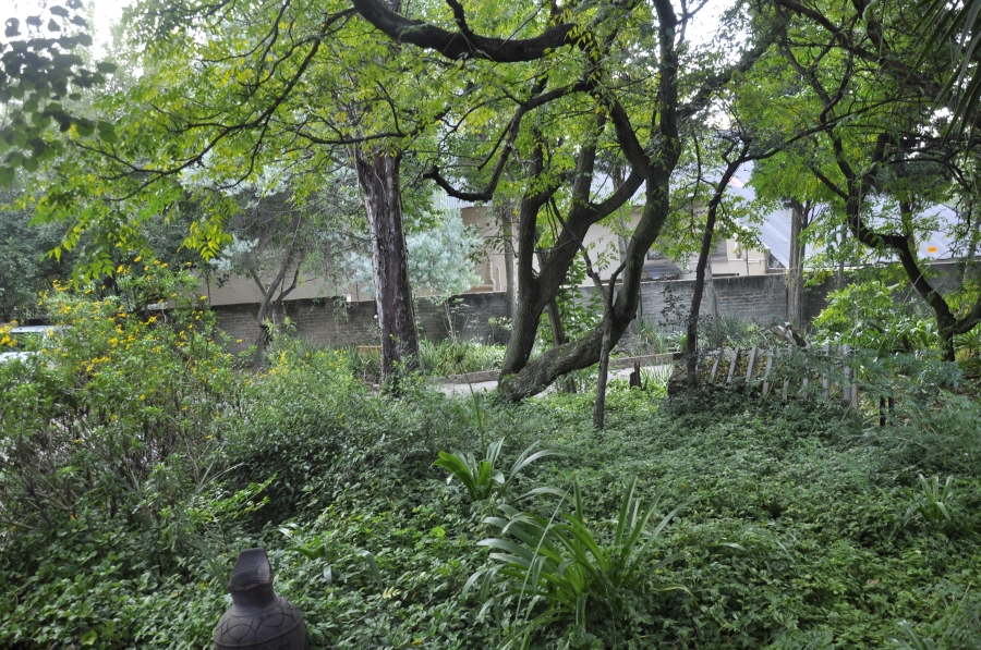 4 Bedroom Property for Sale in Buccleuch Gauteng