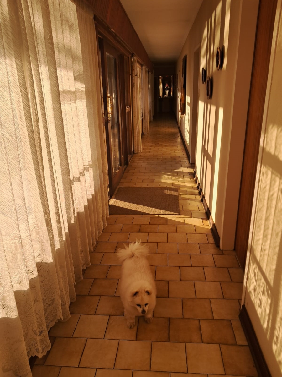 Commercial Property for Sale in Knoppieslaagte Gauteng