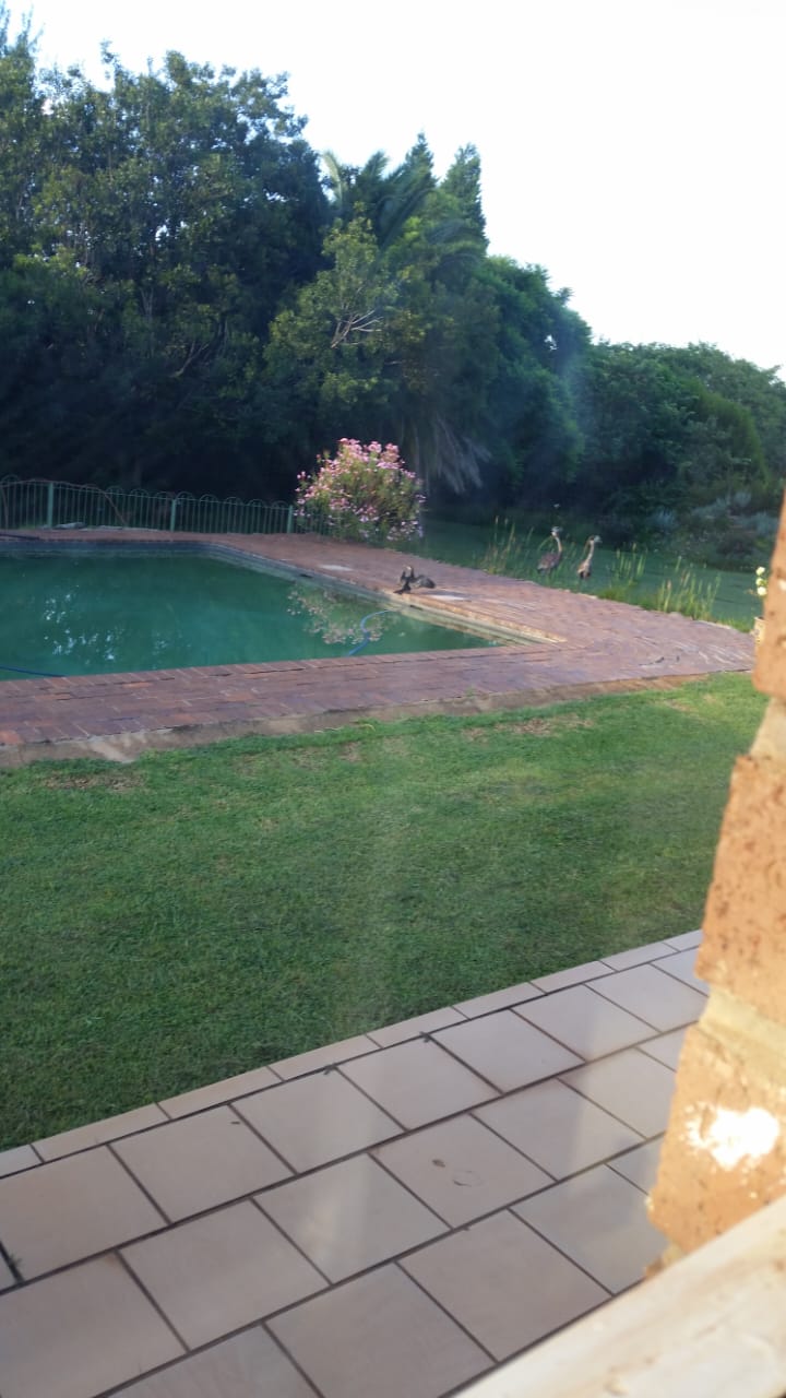 Commercial Property for Sale in Knoppieslaagte Gauteng