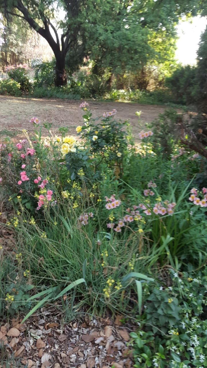 Commercial Property for Sale in Knoppieslaagte Gauteng