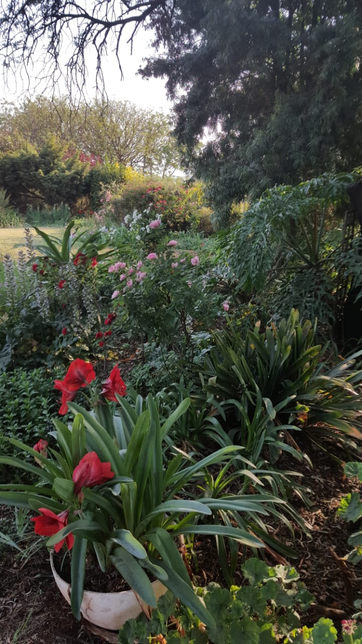 Commercial Property for Sale in Knoppieslaagte Gauteng