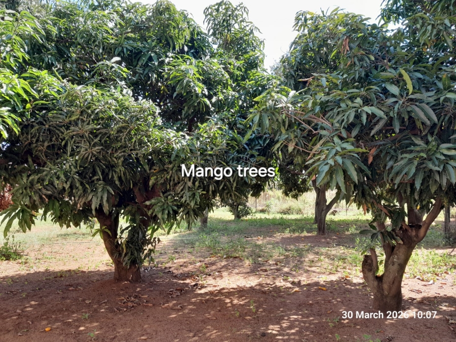 4 Bedroom Property for Sale in Pretoria North Gauteng