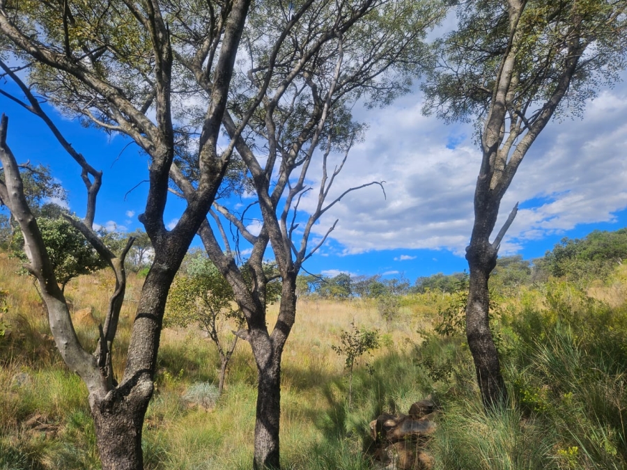 3 Bedroom Property for Sale in Magaliesburg Gauteng