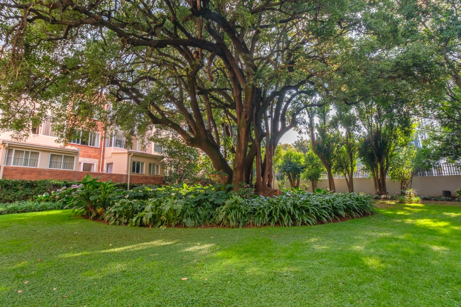 To Let 3 Bedroom Property for Rent in Illovo Gauteng