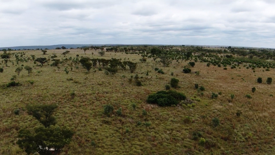 0 Bedroom Property for Sale in Jakkalsdans Gauteng