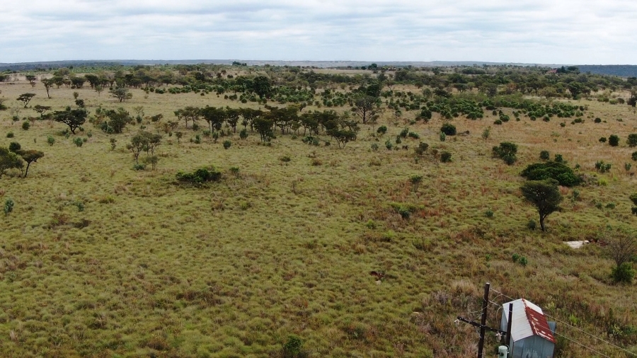 0 Bedroom Property for Sale in Jakkalsdans Gauteng