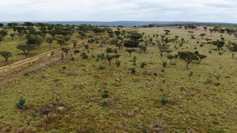 0 Bedroom Property for Sale in Jakkalsdans Gauteng