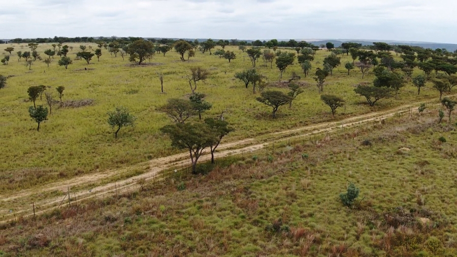 0 Bedroom Property for Sale in Jakkalsdans Gauteng