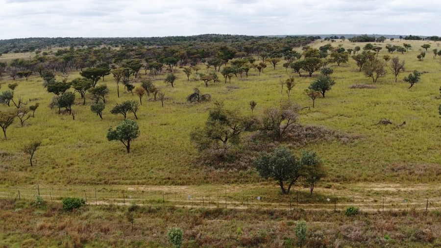 0 Bedroom Property for Sale in Jakkalsdans Gauteng