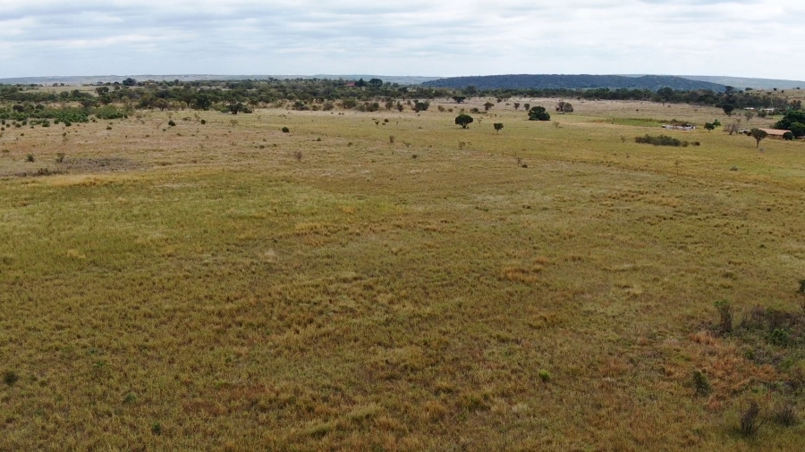 0 Bedroom Property for Sale in Jakkalsdans Gauteng