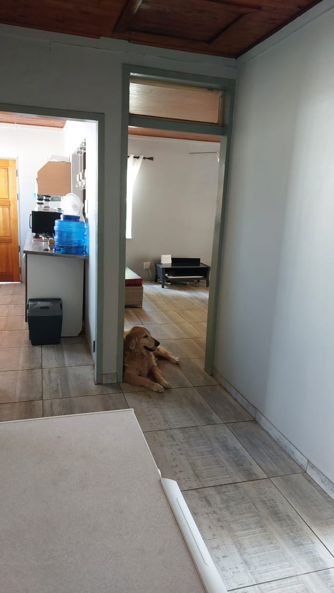 To Let 3 Bedroom Property for Rent in Dal Fouche Gauteng