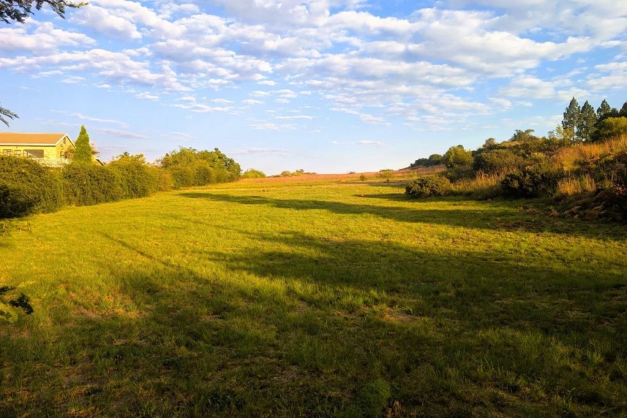 0 Bedroom Property for Sale in Blue Saddle Ranches Gauteng