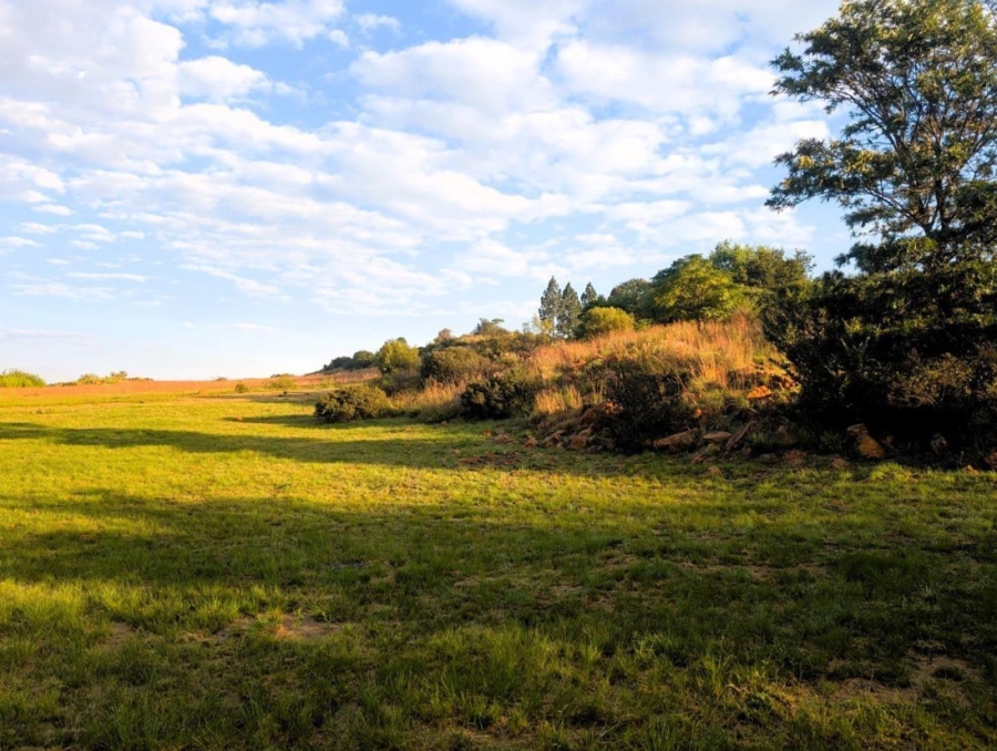 0 Bedroom Property for Sale in Blue Saddle Ranches Gauteng