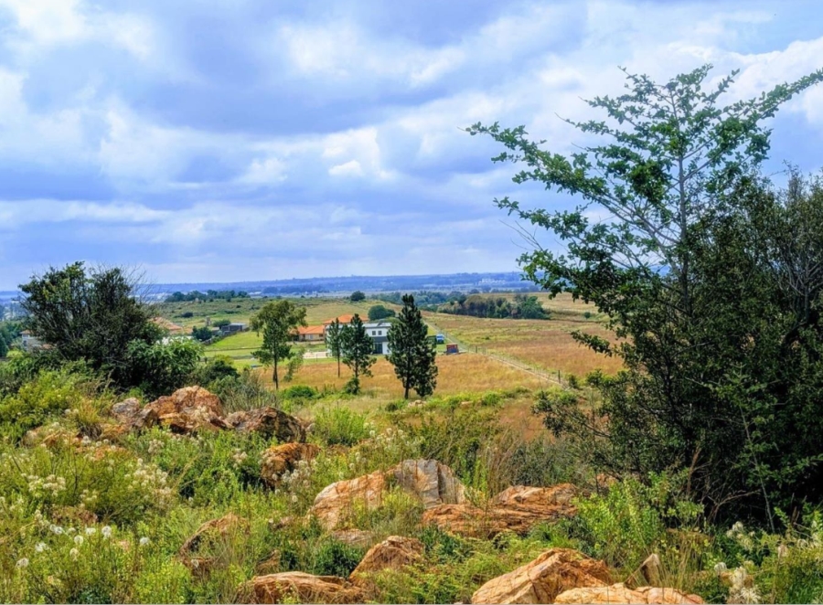 0 Bedroom Property for Sale in Blue Saddle Ranches Gauteng