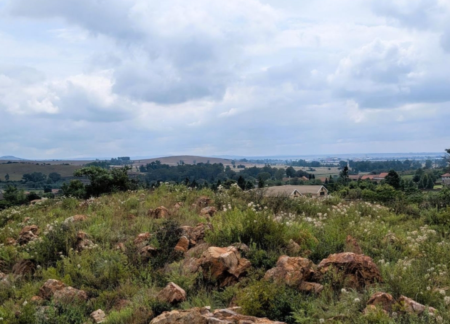 0 Bedroom Property for Sale in Blue Saddle Ranches Gauteng