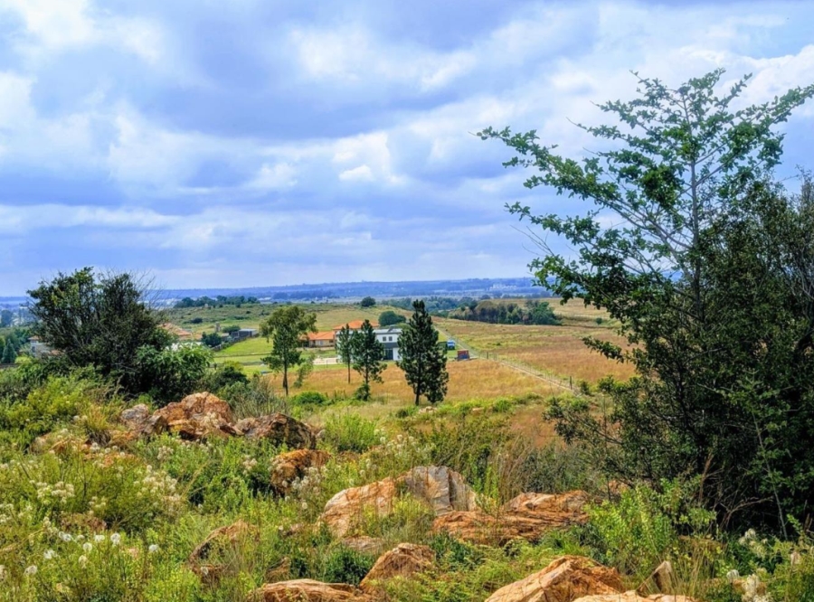 0 Bedroom Property for Sale in Blue Saddle Ranches Gauteng