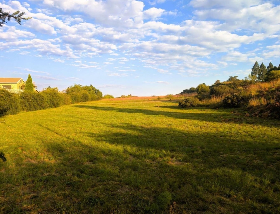 0 Bedroom Property for Sale in Blue Saddle Ranches Gauteng