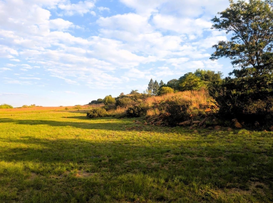 0 Bedroom Property for Sale in Blue Saddle Ranches Gauteng