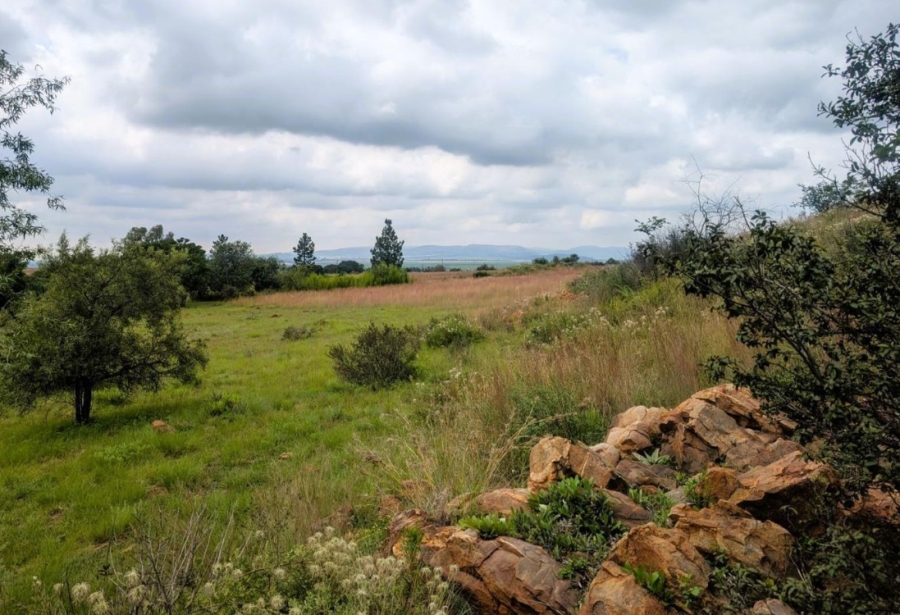 0 Bedroom Property for Sale in Blue Saddle Ranches Gauteng