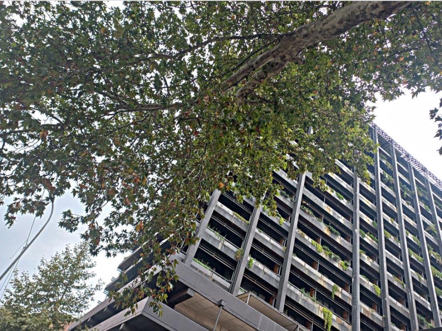 1 Bedroom Property for Sale in New Doornfontein Gauteng