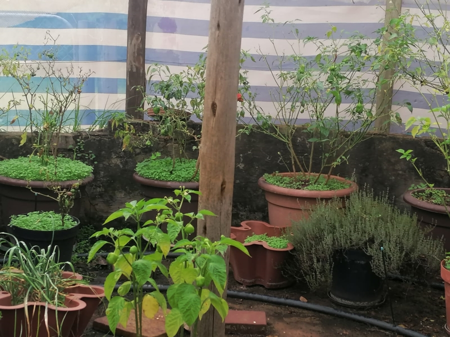 5 Bedroom Property for Sale in Wheatlands A H Gauteng