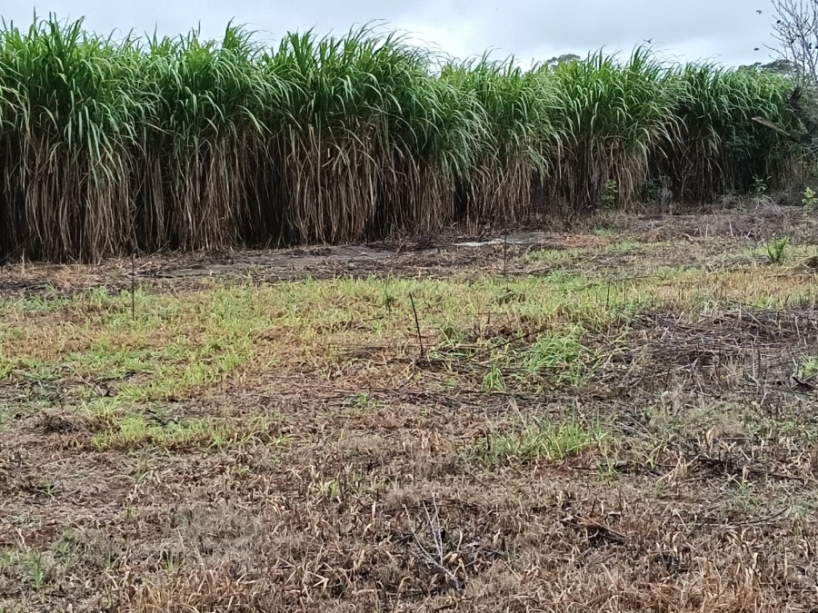 5 Bedroom Property for Sale in Wheatlands A H Gauteng