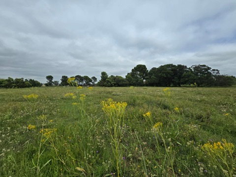 4 Bedroom Property for Sale in Tedderfield A H Gauteng