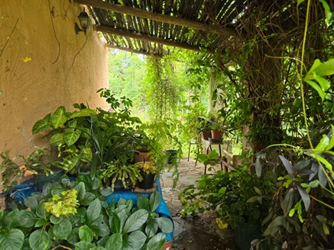 4 Bedroom Property for Sale in Tedderfield A H Gauteng