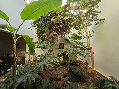 4 Bedroom Property for Sale in Tedderfield A H Gauteng