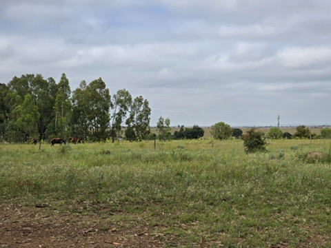 4 Bedroom Property for Sale in Tedderfield A H Gauteng